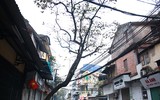 Khung cảnh bình yên của Hà Nội sáng mùng 1 tết Kỷ Hợi 2019
